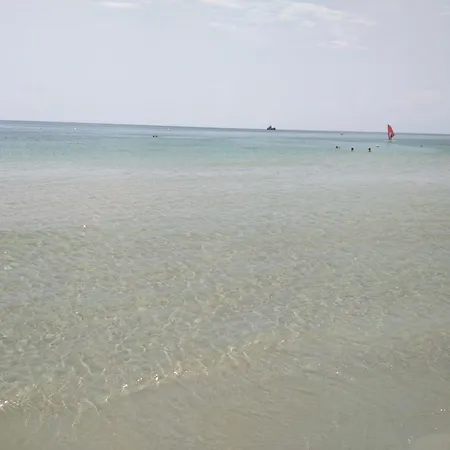 House Near The Sea *